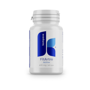 Kompava 3-balenie Fit Artro Aktiv 600 mg/60 kps