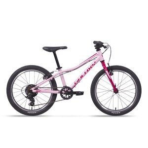Galaxy Cetis 20"  2025 ružová - 10" (113-135 cm)