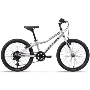 Galaxy Neptun 20" 2025 strieborná - 10" (113-135 cm)
